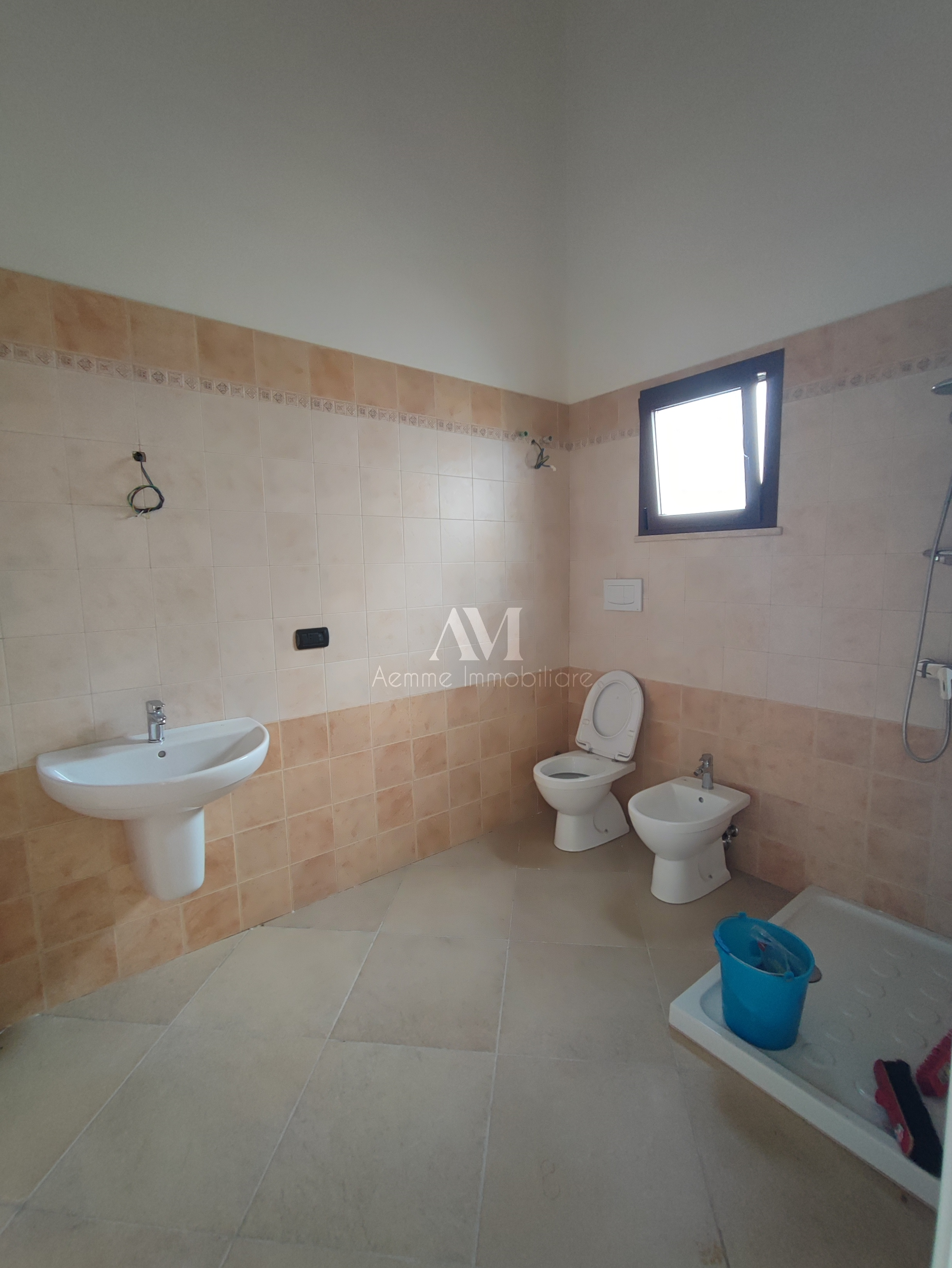 TSR Watermark – 1145