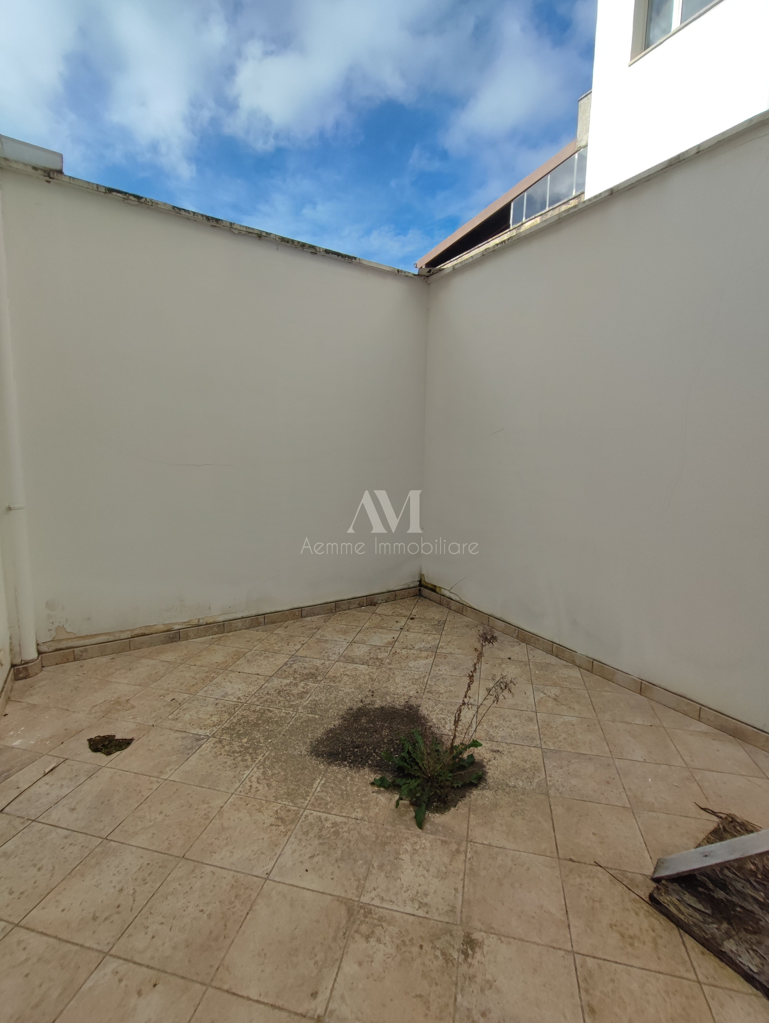 TSR Watermark – 1146