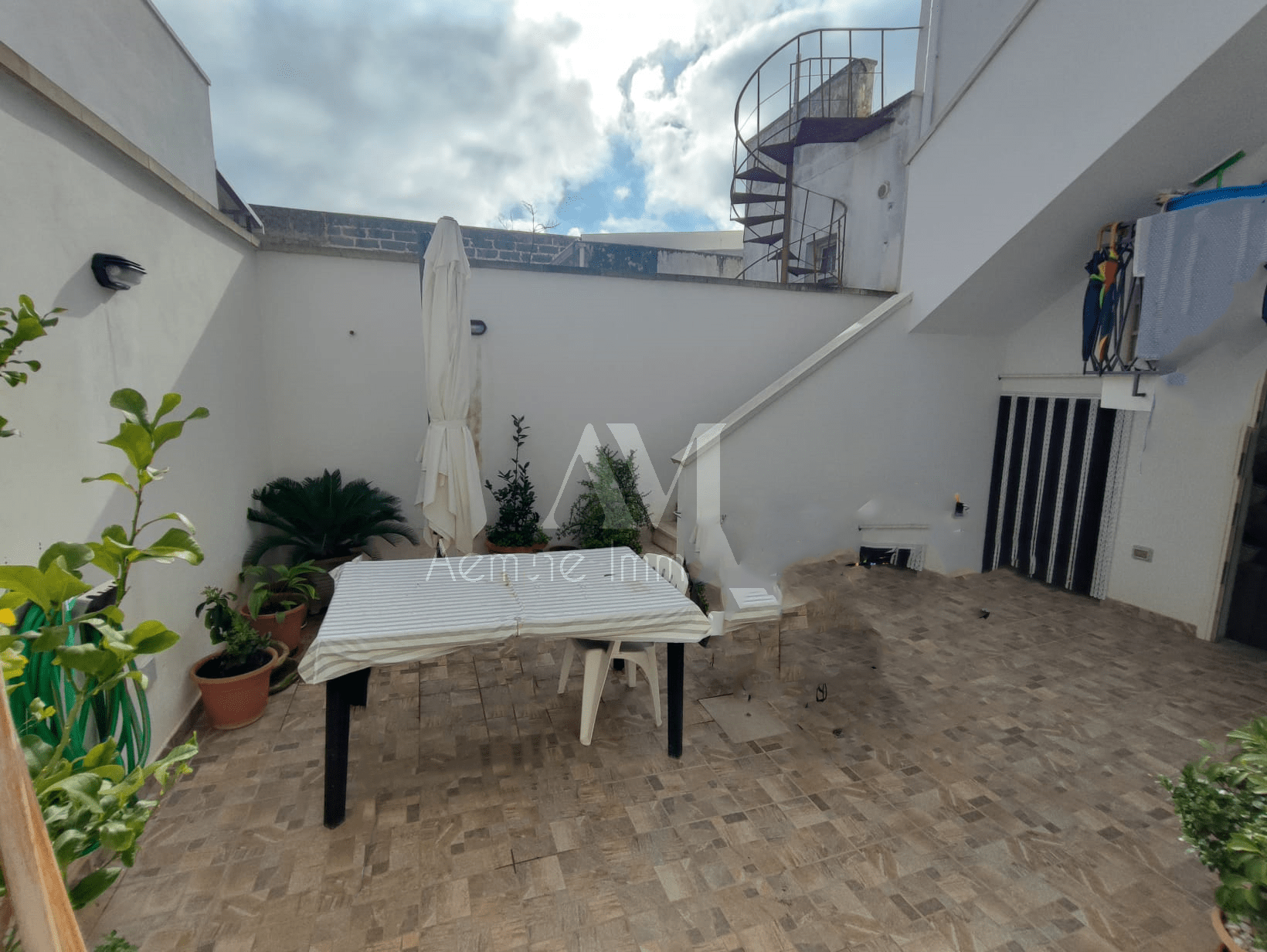 TSR Watermark – 1185