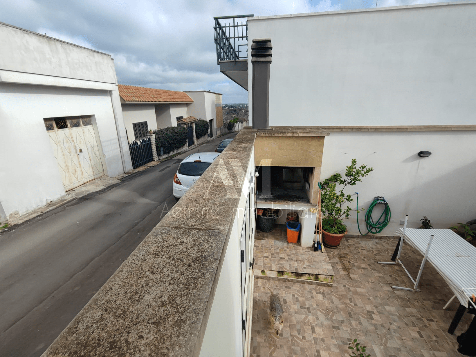 TSR Watermark – 1231