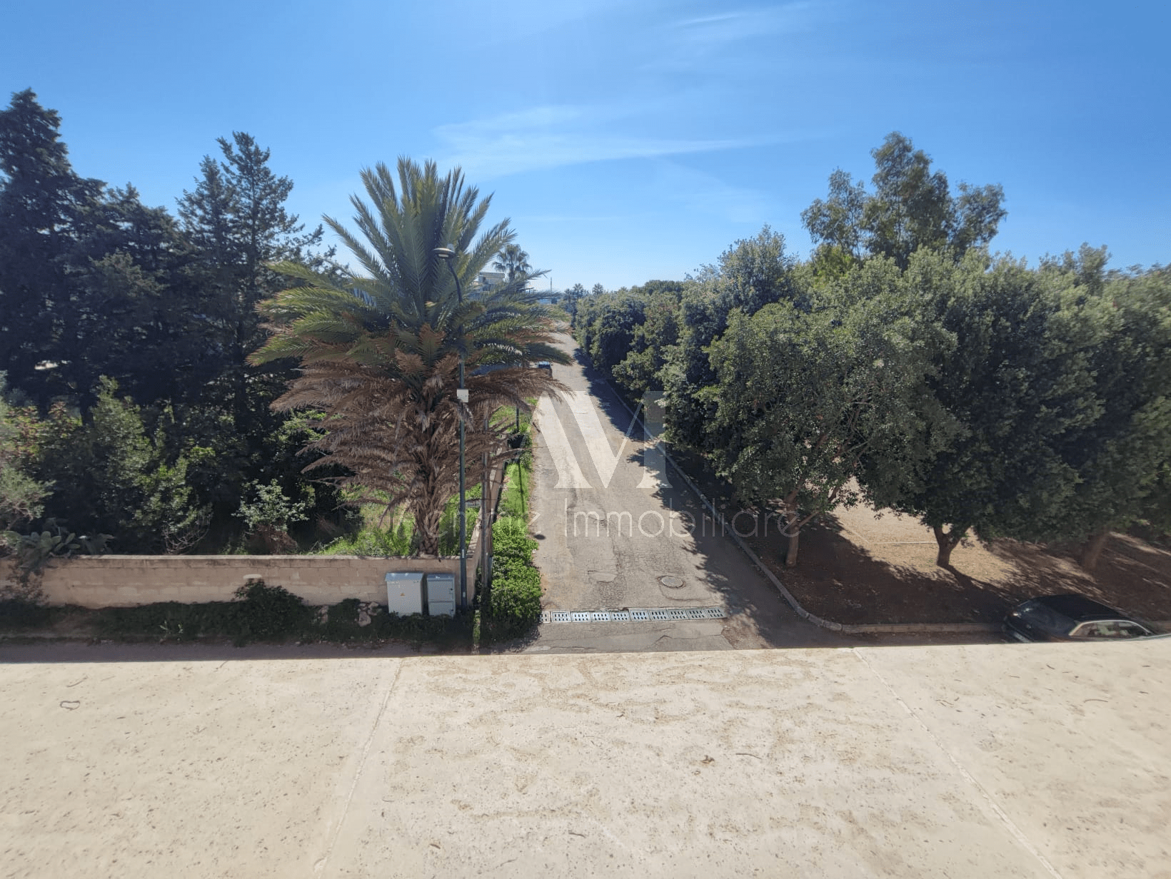 TSR Watermark – 327