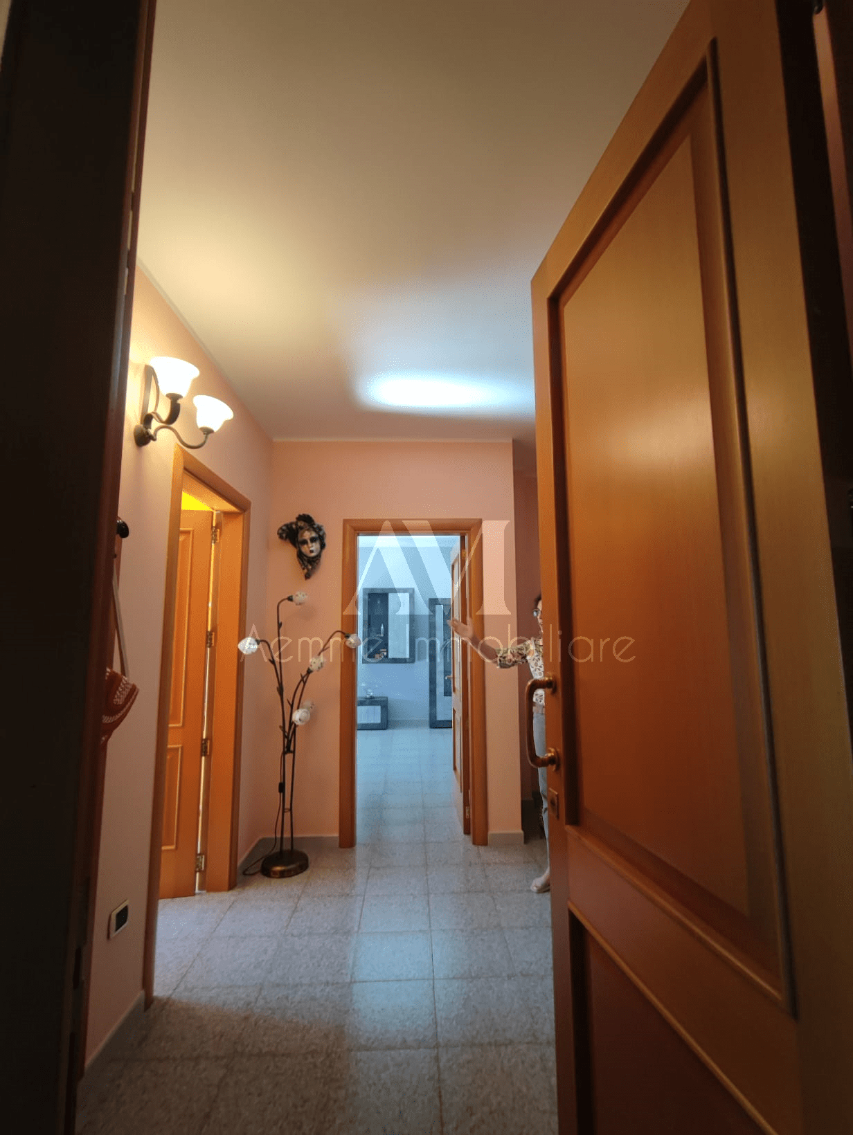 TSR Watermark – 330