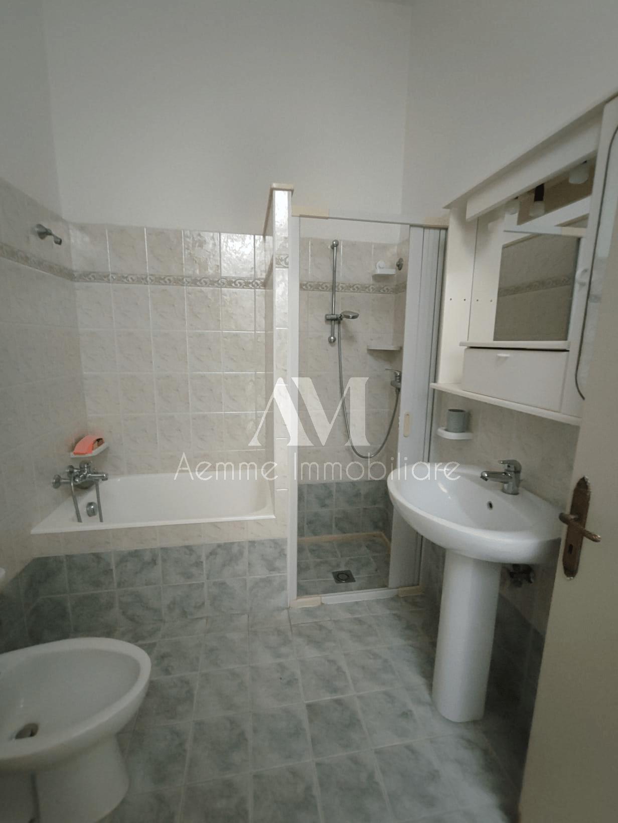 TSR Watermark – 463