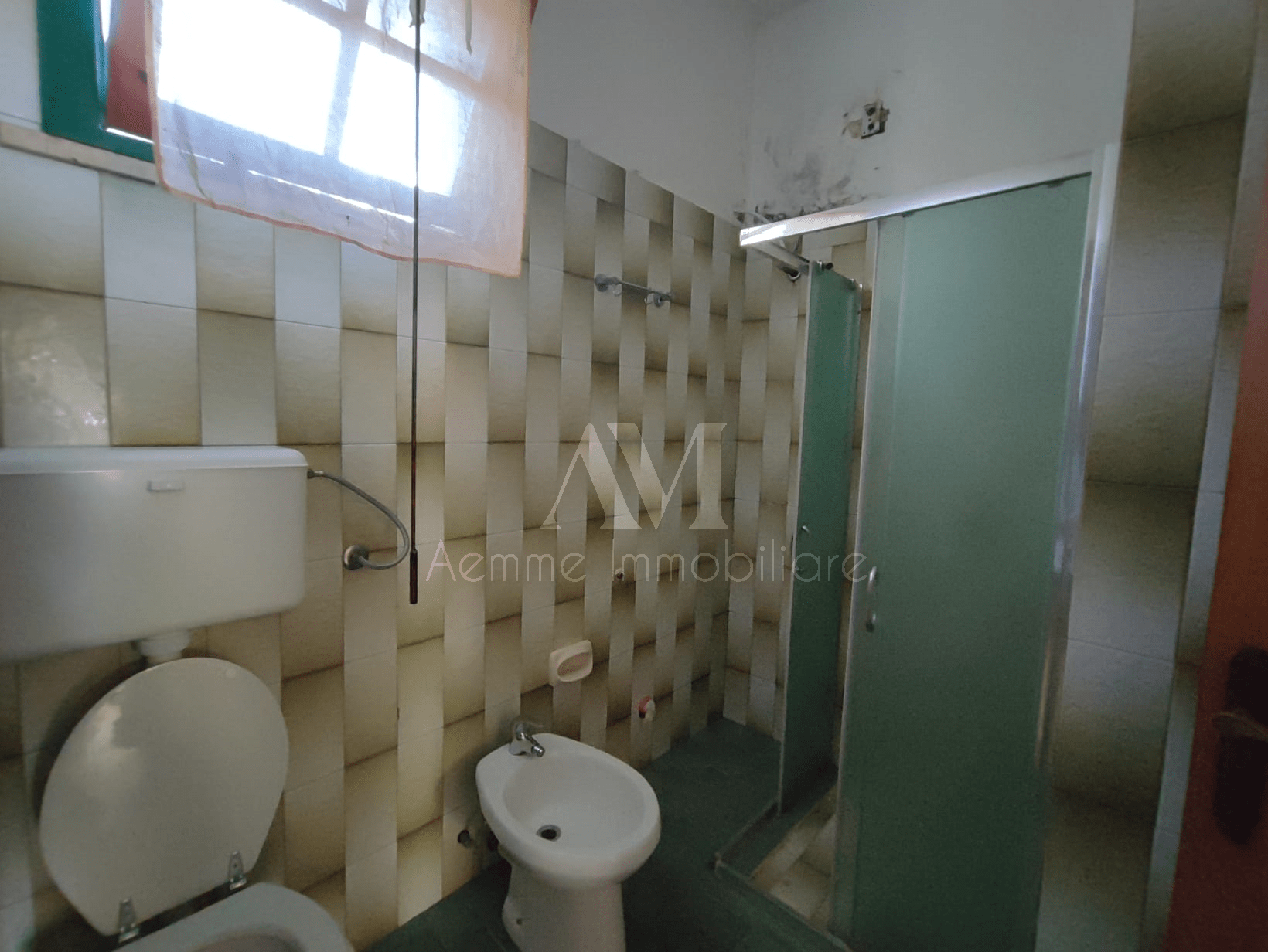 TSR Watermark – 499