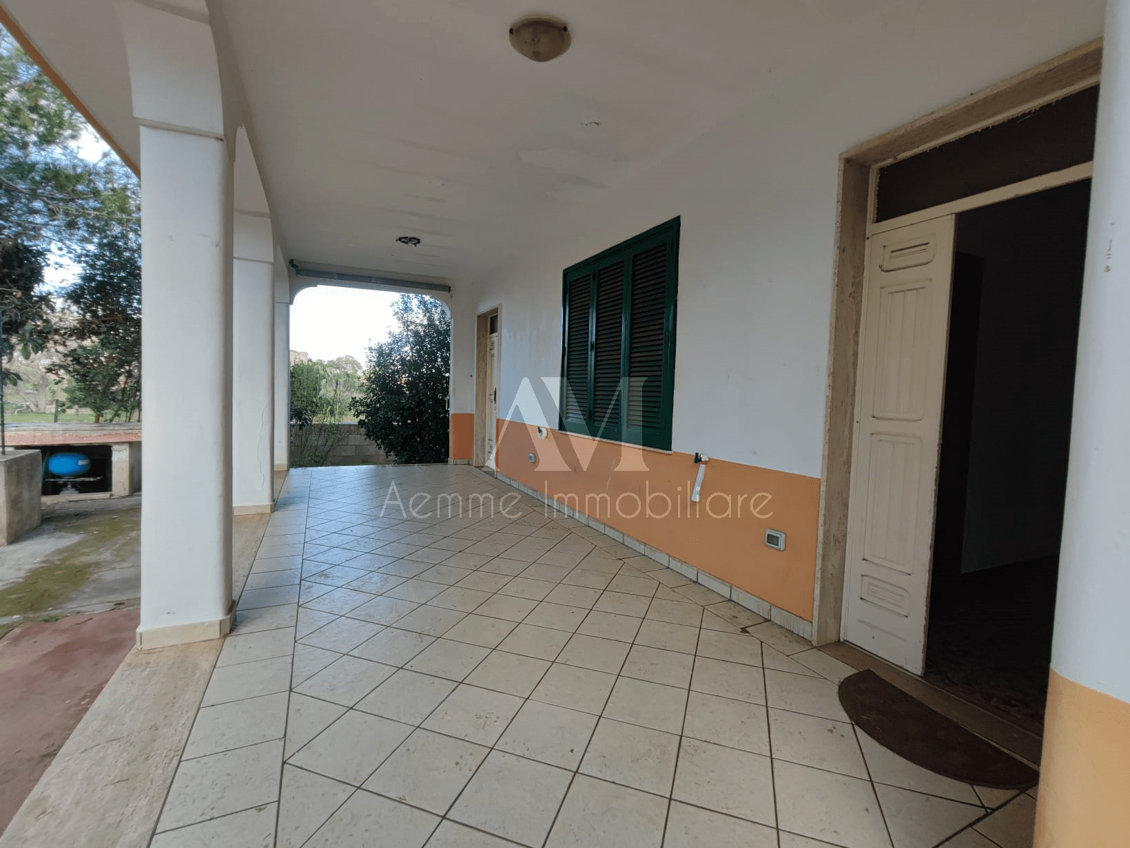 TSR Watermark – 524