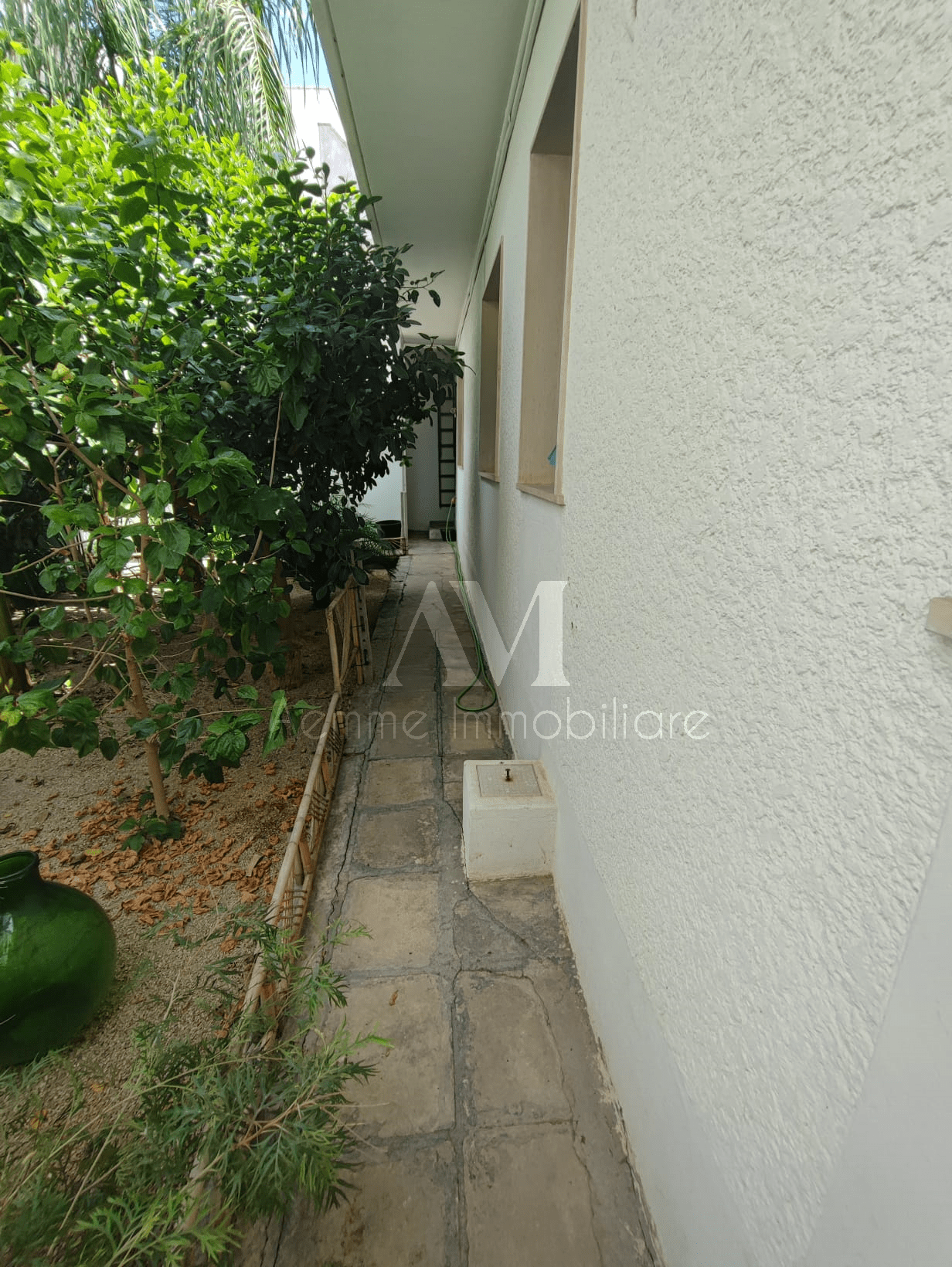 TSR Watermark – 682