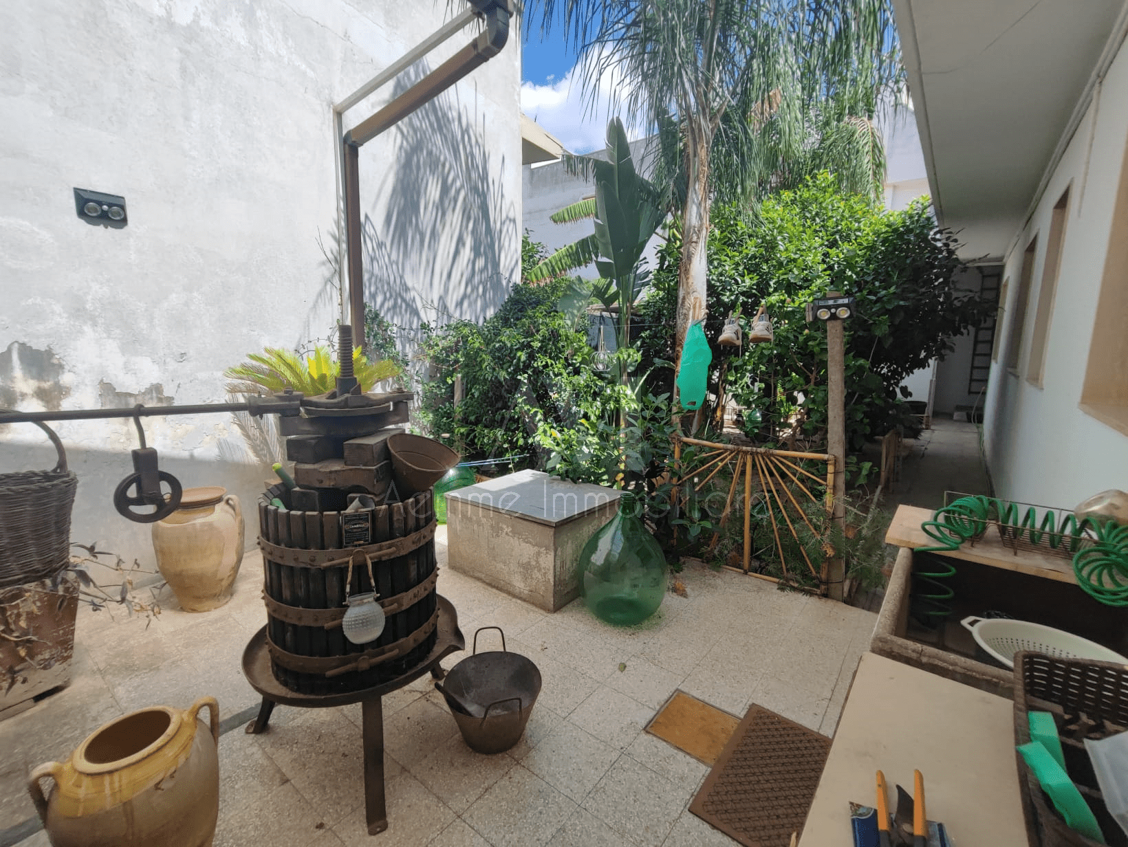 TSR Watermark – 691