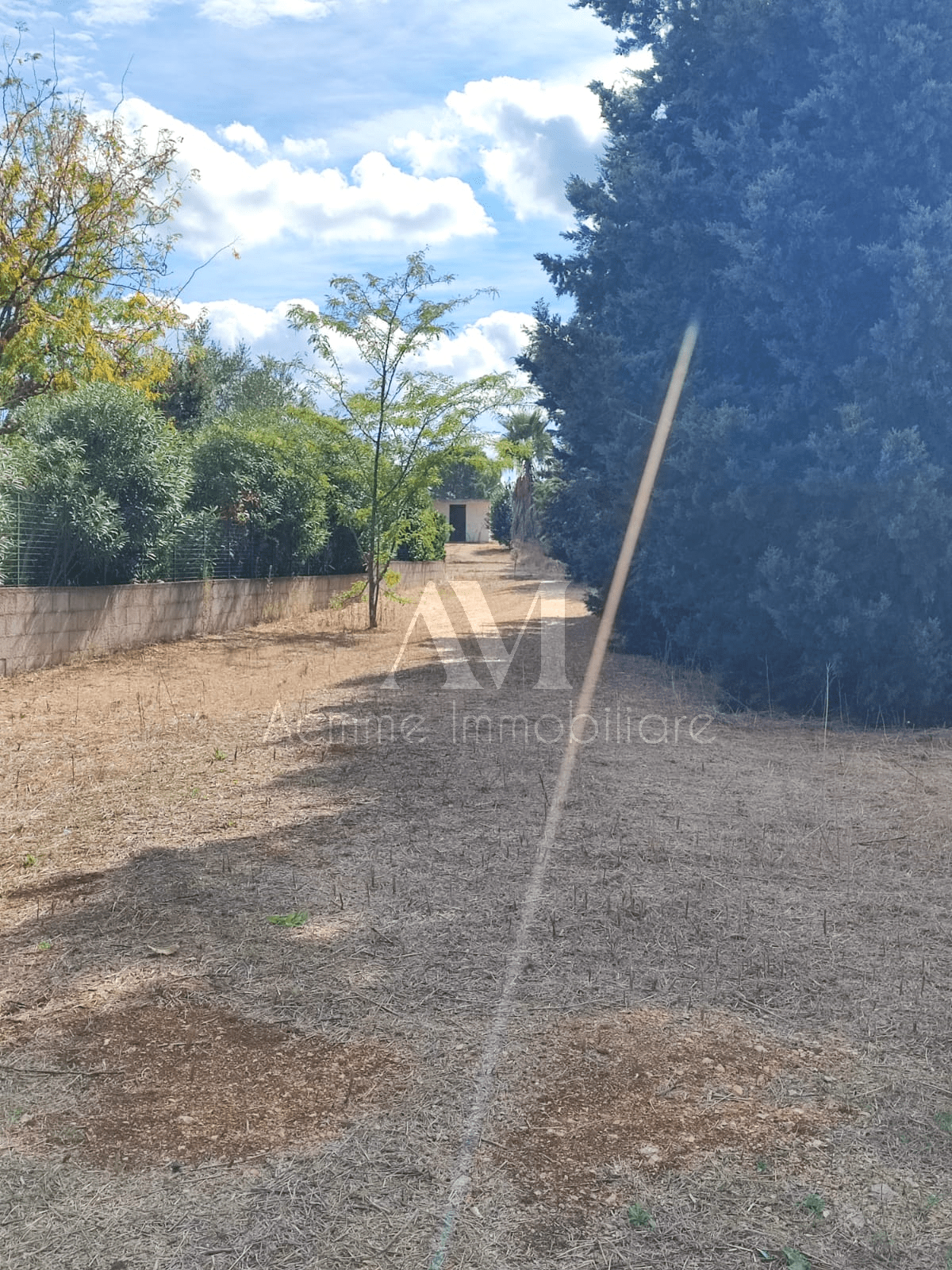 TSR Watermark – 729