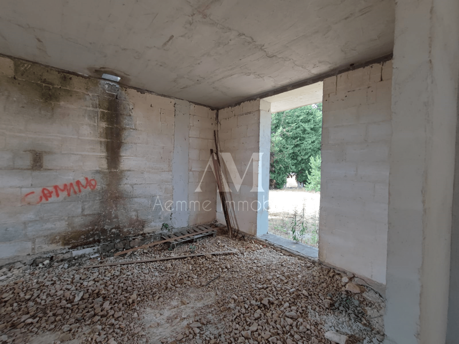 TSR Watermark – 736