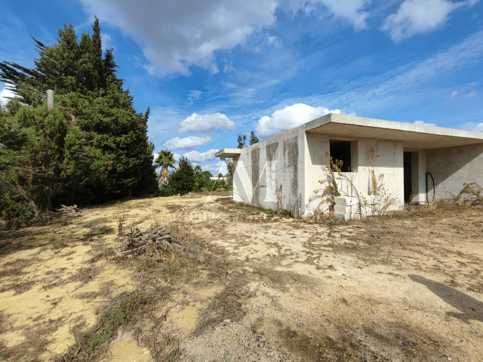 TSR Watermark – 748