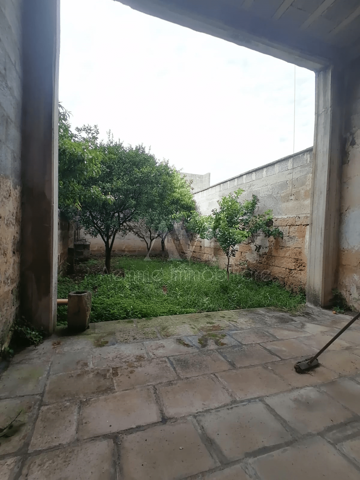 TSR Watermark – 914