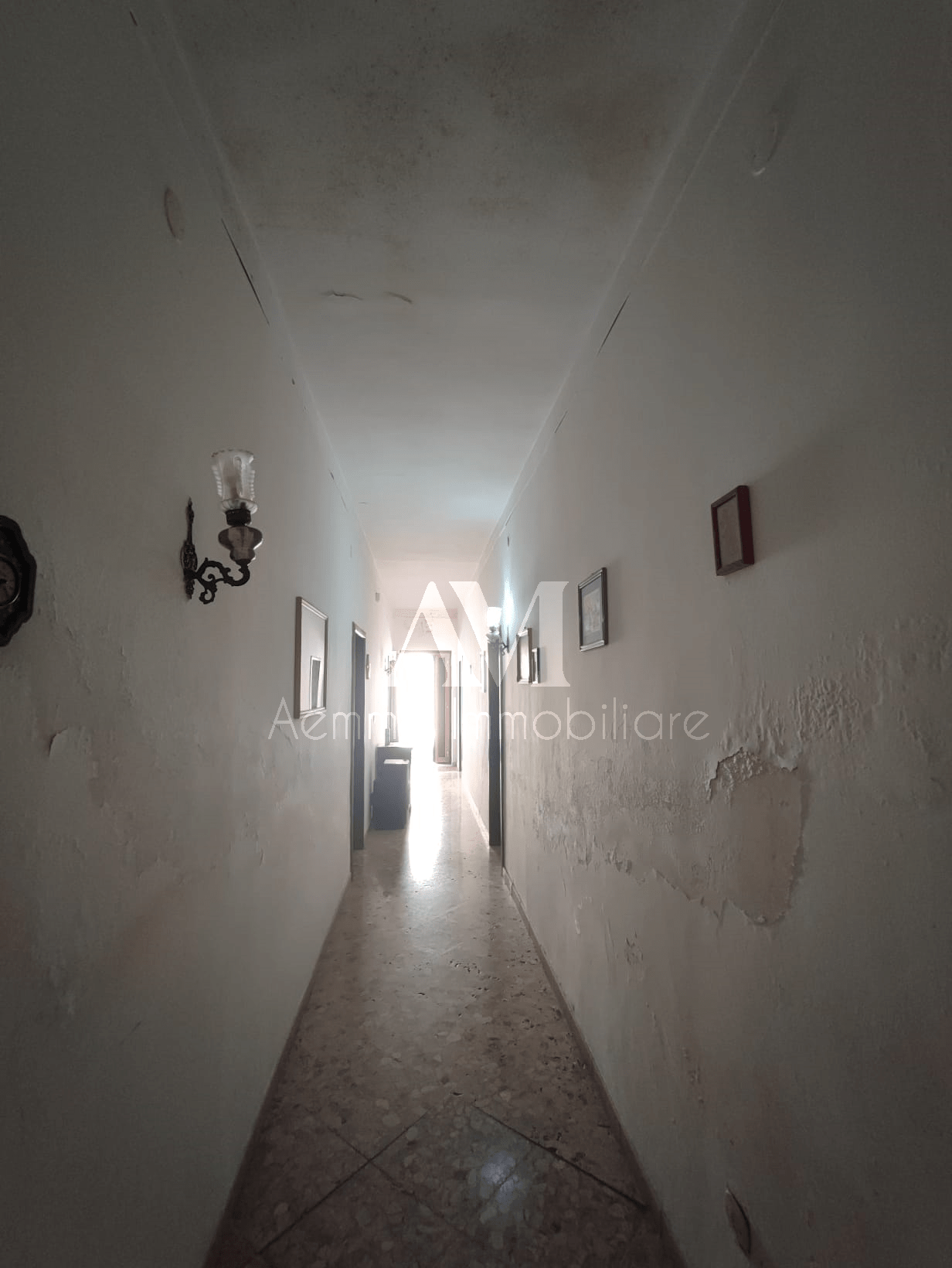 TSR Watermark – 1029