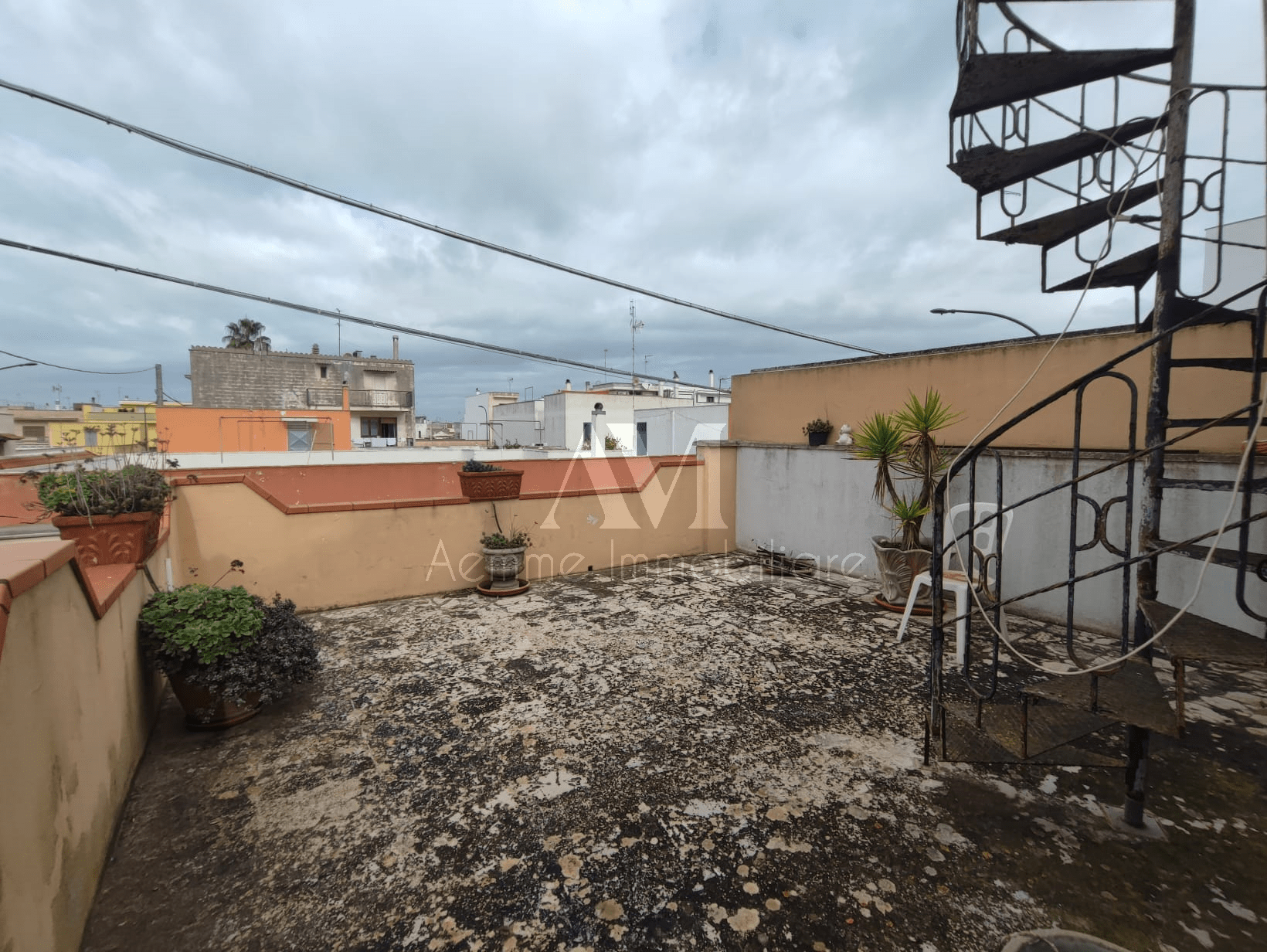 TSR Watermark – 1271