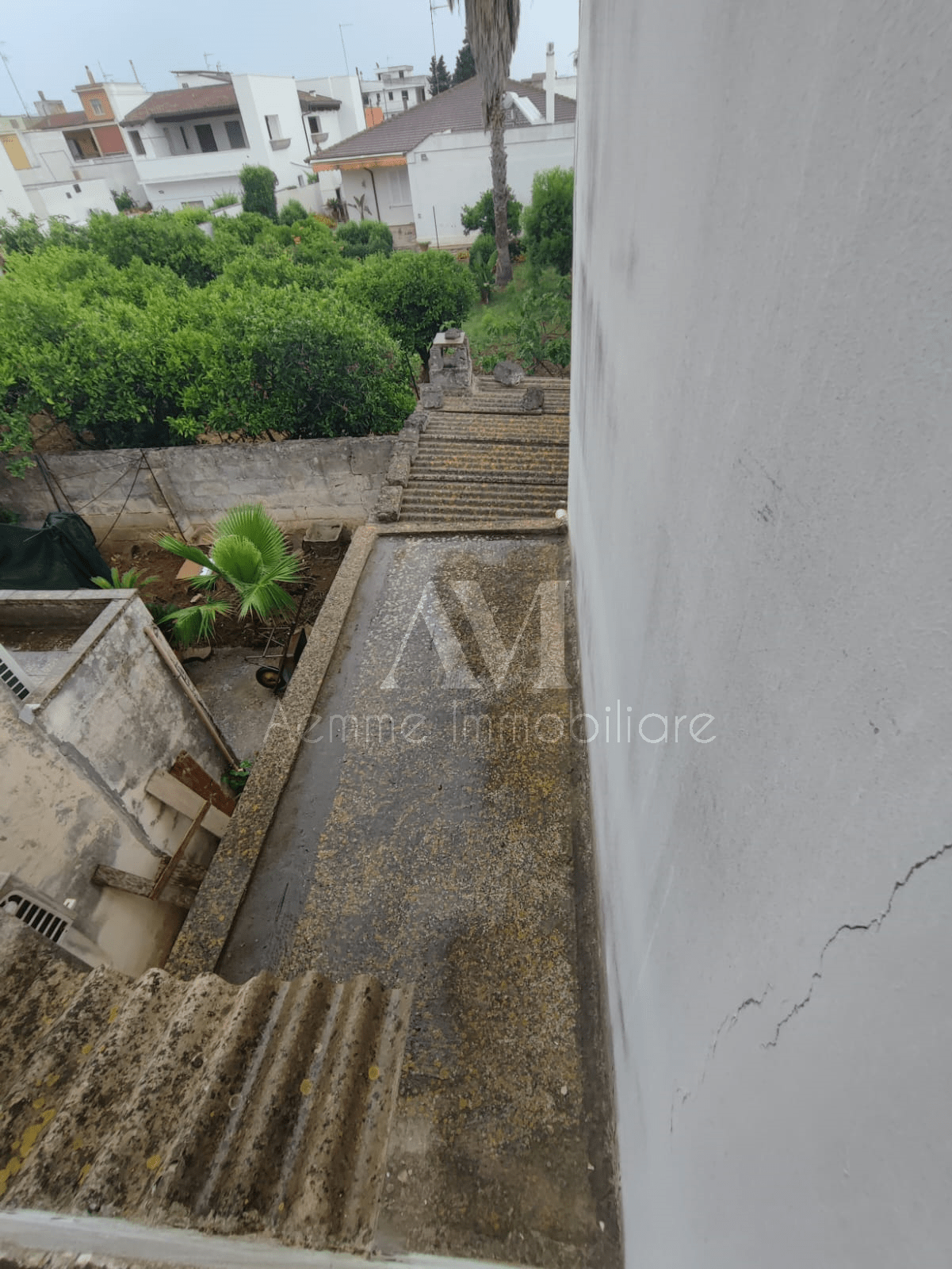 TSR Watermark – 1346