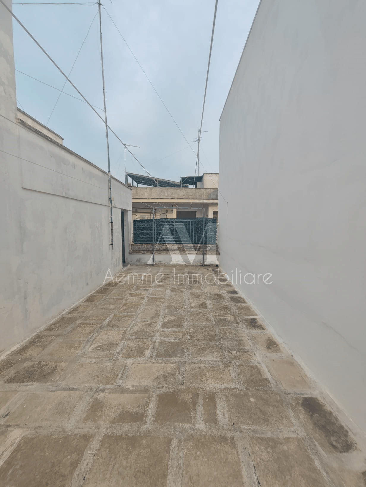 TSR Watermark – 1389
