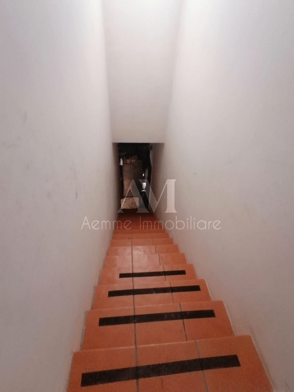 TSR Watermark – 1502