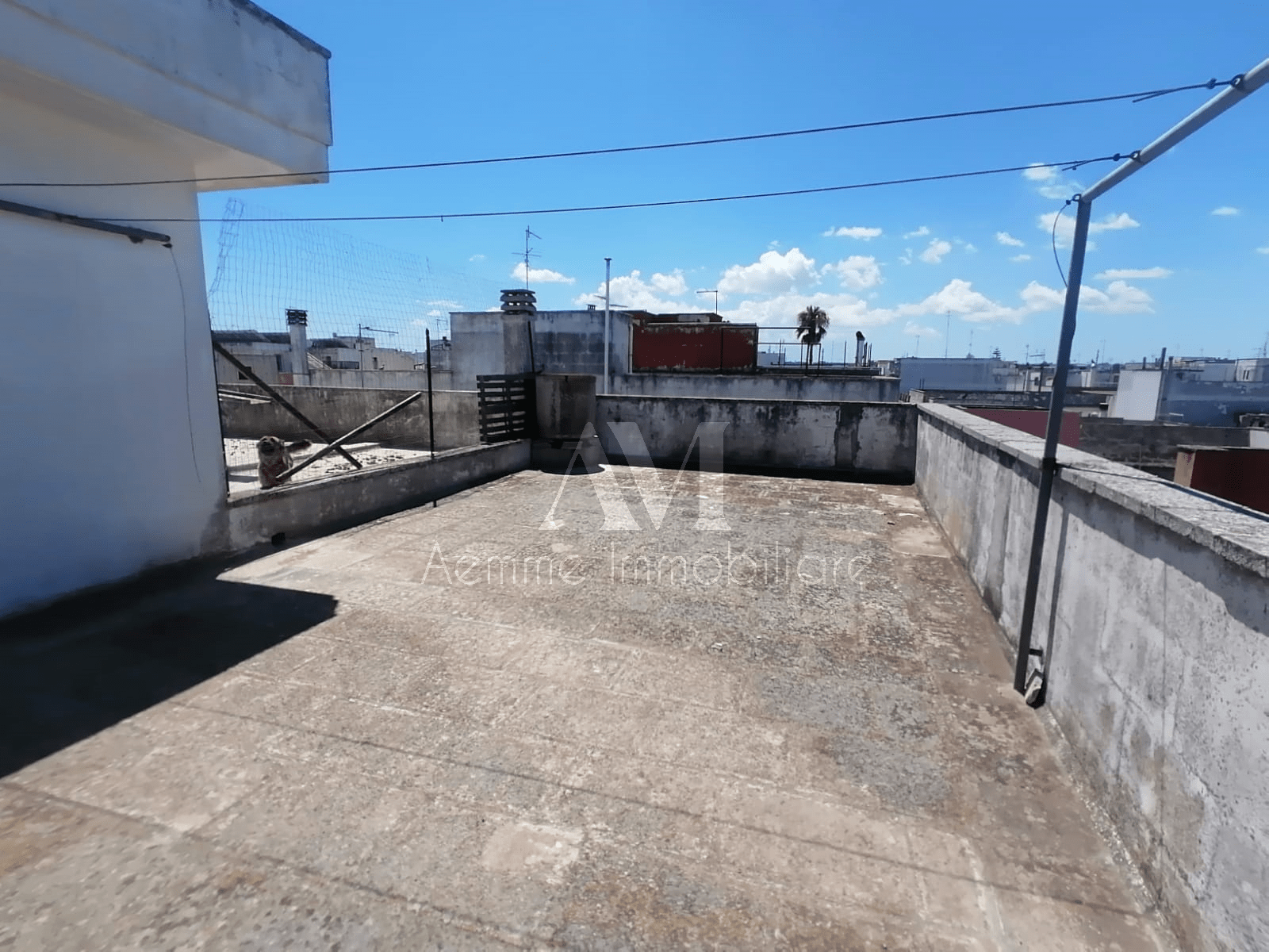 TSR Watermark – 1505