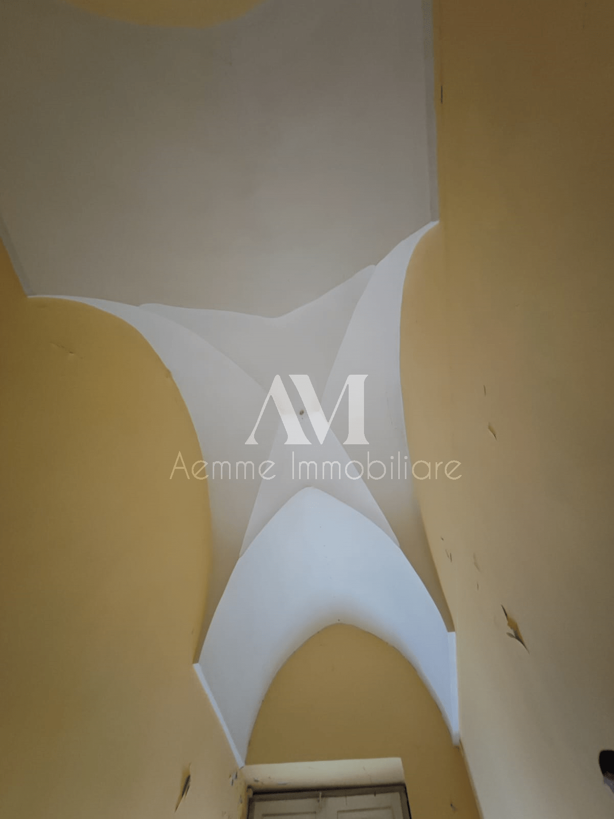TSR Watermark – 537