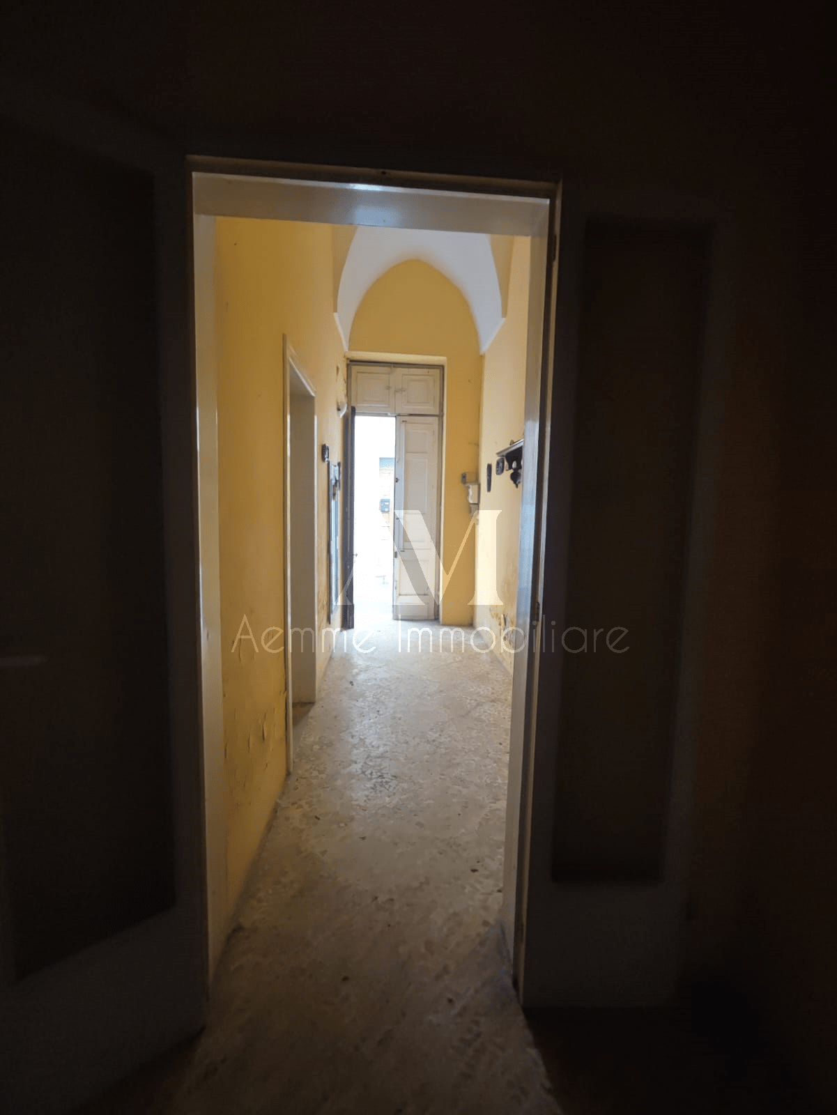 TSR Watermark – 538