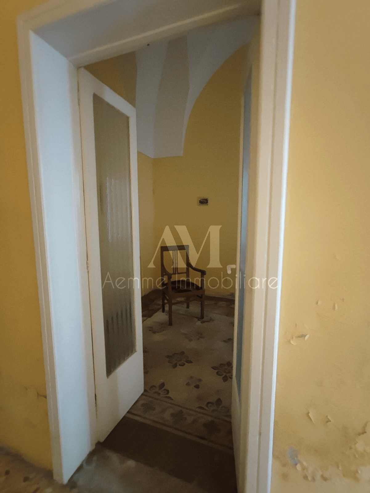 TSR Watermark – 559