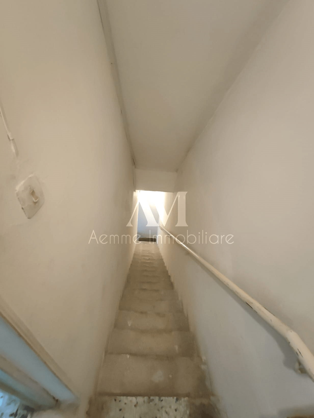 TSR Watermark – 631