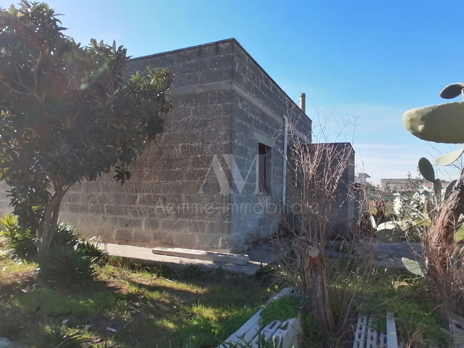 TSR Watermark – 971