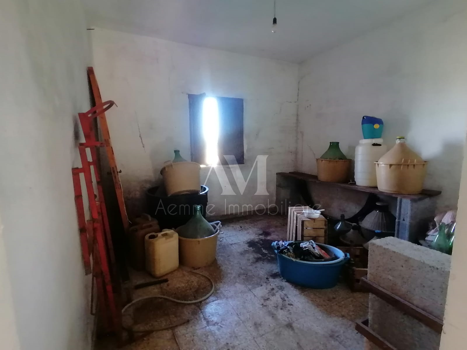 TSR Watermark – 974