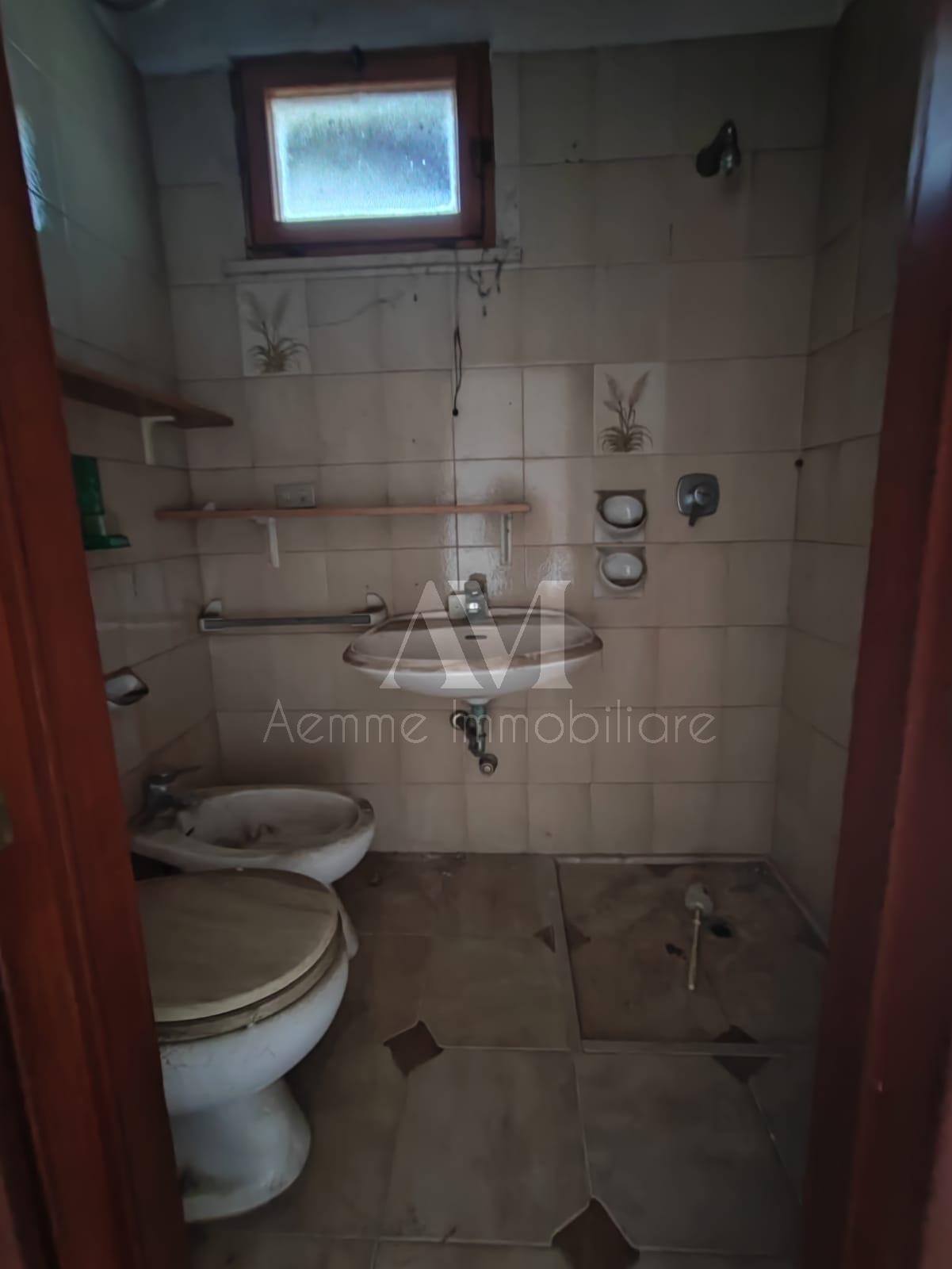 TSR Watermark – 2020