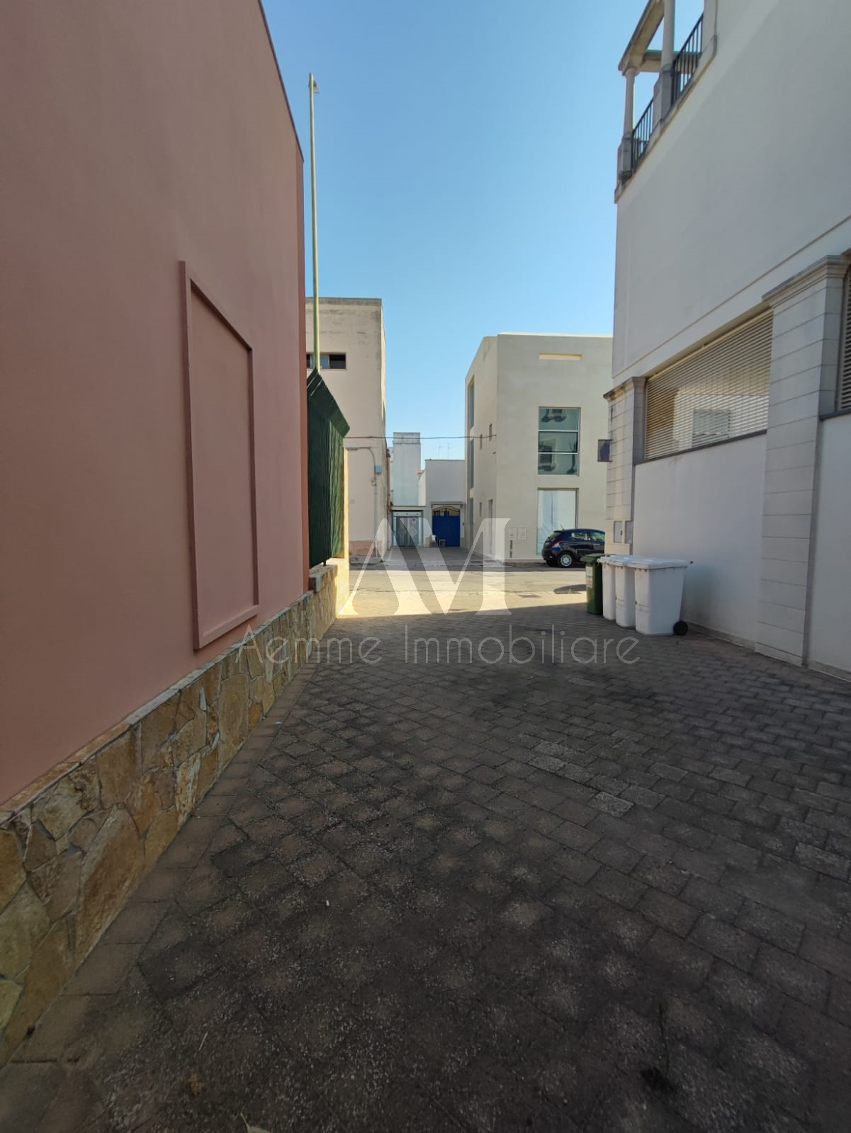 TSR Watermark – 2031
